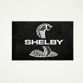 Premium Shelby Garagenteppich – 5x7 ft (60x87")